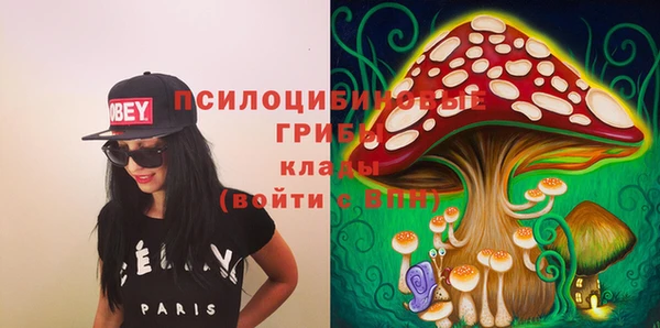 скорость Пикалёво