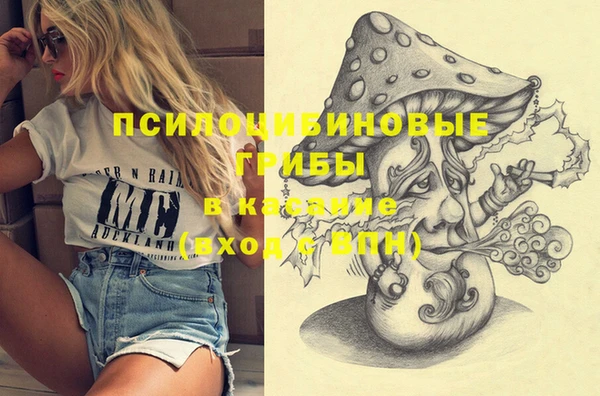 дмт Саяногорск