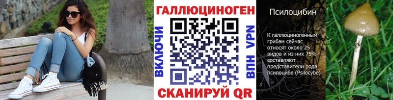 где найти   Слюдянка  Псилоцибиновые грибы Psilocybe 